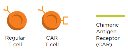 tcell graphic
